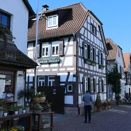 Neues In Langen - 15 Km Bis Frankfurt, Messe Und Flughafen - 50 Qm - Modern, Sonnig Mit Balkon In Ruhiger Lage - Hochwertige Ausstattung Und Vollstandige Kuche - Einfach Schon Apartment *
